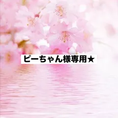 ピーちゃん様専用ページ♪