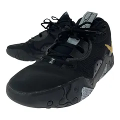 pg6 ブラック　28.5 ナイキ Nike PG 6 ブラック - NBAグッズ バスケショップ通販専門