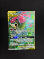 【ポケカ】フシギバナ＆ツタージャGX　SR