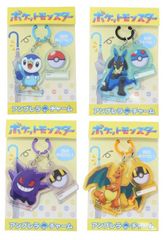 ポケモン アンブレラチャーム ポッチャマ ルカリオ ゲンガー リザードン