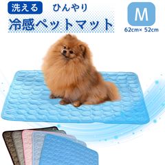 Item thumbnail for item 9a2f30bc-39ef-428a-843b-c02fd5eaf889