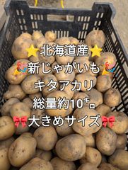 キタアカリ✨️北海道産
