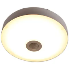 [山善] LEDミニシーリングライト 天井照明 (人感センサー付) 白熱電球 40W相当 電球色 工事不要 MLC-S045L 0