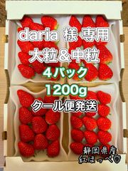 中玉サイズ 300g✖️4パック 紅ほっぺ🍓いちご