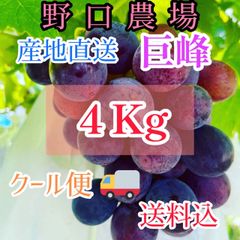 福岡県産ぶどう巨峰　野口農場　4キロ発送
