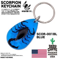 USA ARIZONA SCORPION DROP KEYCHAIN 蠍 サソリ スコーピオン お守り キーホルダー バイカー 幸運 : SCOR-001BL