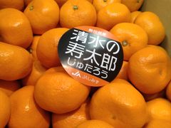清水の寿太郎みかん　５㎏
