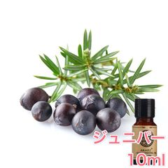 ジュニパーベリー 10ml×1本 エッセンシャルオイル アロマオイル 無希釈 天然 無添加 アロマストーン アロマディフューザー 芳香 ルームフレグランス 香水