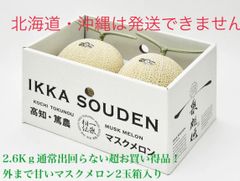 2.6Kｇ通常出回らない超お買い得品！外まで甘いマスクメロン2玉箱入り
