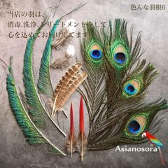 ❤️◾️⭐︎【色んな羽根6】フェザー 羽 孔雀　インテリア キジ スワッグ ドライフラワー