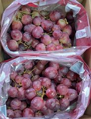 ぶどう2kg レッドシードレス　種無しぶどう　葡萄