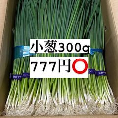 福岡県産　朝倉ネギ　300g