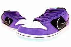 ナイキ NIKE SB DUNK LOW PRO HAYLEY WILSON 2025 29cm HJ0513-500 エスビー ダンク ロー プロ ヘイリー ウィルソン コートパープル 【ブランド古着ベクトル】【中古】▲■250715