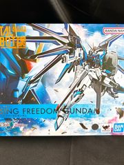 新品未開封 超合金METAL ROBOT魂 ライジングフリーダムガンダム