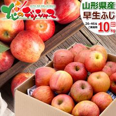 【予約/10月上旬(10月3日)頃～出荷予定】 山形県産 ご家庭用 りんご 早生ふじ 10kg (訳あり/26玉～46玉入り) リンゴ 林檎 わけあり ご自宅用 ご家庭用 お家用 お得 お買い得 果物 フルーツ 山形県 山形県直送 グルメ お取り寄せ