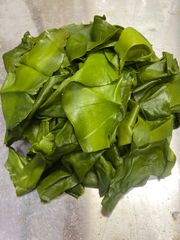 昆布の元　宮城県石巻産　新もの！橋本様