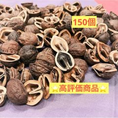 ⭐️高評価商品⭐️【お試し商品1】鬼くるみ殻 ハーフ 150個前後