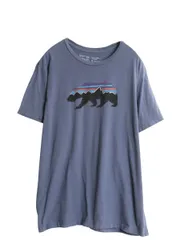 USA製 パタゴニア プリント 半袖 Tシャツ メンズ XL 18年製 フィッツロイ ベア グラフィック イラスト アート スリム フィット アウトドアのサムネイル