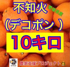 2024年最新】不知火訳ありの人気アイテム - メルカリ