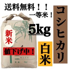 白米　5kg コシヒカリ　新米　埼玉県産　令和4年産　送料無料　米　5キロ