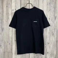 patagonia パタゴニア 両面プリント 半袖 Tシャツ TEE XS