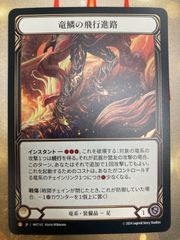 Flesh and blood 竜鱗の飛行進路 / Dragonscaler FlightPath RF