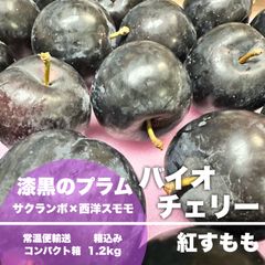 【常温便コンパクト】漆黒のプラム 山形県産 バイオチェリー 箱込み 1.2kg