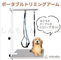 Item thumbnail for item ac134028-0923-4af9-903f-209955e85da2