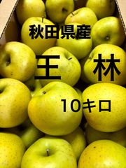 秋田県産りんご　王林約10キロ家庭用