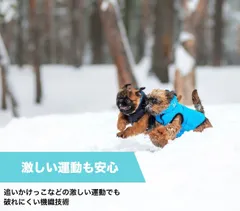2025年最新】犬雪遊びの人気アイテム - メルカリ