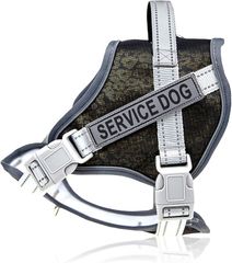 Item thumbnail for item 51a1d880-fa0f-49c0-88cd-e42ccd1683ff