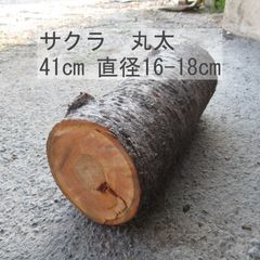 岐阜県産サクラ　丸太　41㎝　※他サイズもあります。