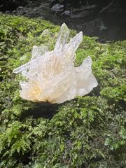 龍脈の精髄 水晶 静かなる光を宿すひとしずくの奇跡 売上一部保護猫活動に使用 龍脈の精髄 ― 黒水晶ペンダント 「護りと再生を宿す大地の力