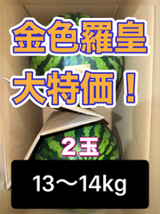 北海道沖縄追加料金なし　福岡県産　希少黄色すいか　金色羅皇　２玉