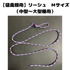 Item thumbnail for item 45ce9fb3-43c5-4033-956d-cf087874e87f