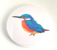 希少 野鳥 絵画 イラスト 原画 セット ウッド フレーム 新品 額装