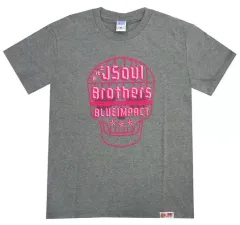 【中古】Tシャツ(男性アイドル) 三代目J Soul Brothers Tシャツ グレー(プリント：ピンク) Mサイズ プラモシリーズ 「三代目J Soul Brothers LIVE TOUR 2014 “BLUE IMPACT”」