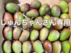 沖縄県産　摘果マンゴー　3キロ