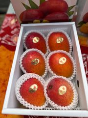 沖縄県産マンゴー優品 6玉 1.8〜2kg