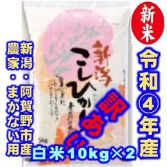 山内様専用出品 新之助 玄米10キロ2個入り1梱包 12/21 - 越後の