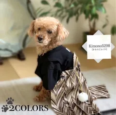 ☆rara ミニチュアダックスフンド ダックス お正月わんこ お正月