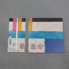 andymori 光/革命 アナログレコード 光(LP)/andymori/4th album『光』が待望のアナログ盤リリース