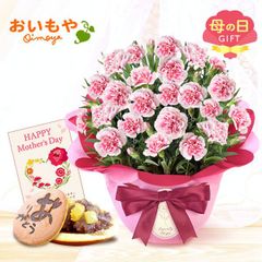 【おいもや公式】母の日限定 5号 カーネーション【ミルキーリップ】 どら焼き スイーツ 和菓子 お菓子 鉢植え プレゼント 生花 花 ピンク おしゃれ かわいい (お届け時期:5/5～11のいずれか)