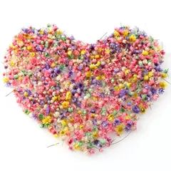 【在庫処分】ミニ 小さい 花 レジン用 押し花 材 スターフラワー ネイル ペンダント 200個入り DIY 手芸 クラフト ドライフラワー 素材 おしゃれ LIKENNY アソートセット (薄い色)