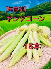新鮮ヤングコーン200本（本日1品のみ） 2025年最新】ヤングコーン、の人気アイテム - メルカリ