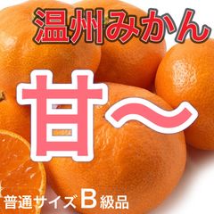 和歌山産　温州みかん　普通サイズ　B級品　3kg