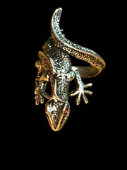 2025年最新】トカゲ指輪の人気アイテム - メルカリ