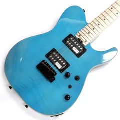 2026年最新】schecter エレキギターの人気アイテム - メルカリ