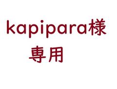 【専用】アクリル板 単色クリア4枚　kapipara様専用