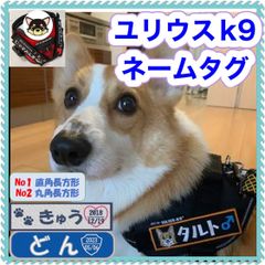 ユリウスk9 キロナイナー　ネームタグ　刺繍名前ワッペン　ハーネス名札